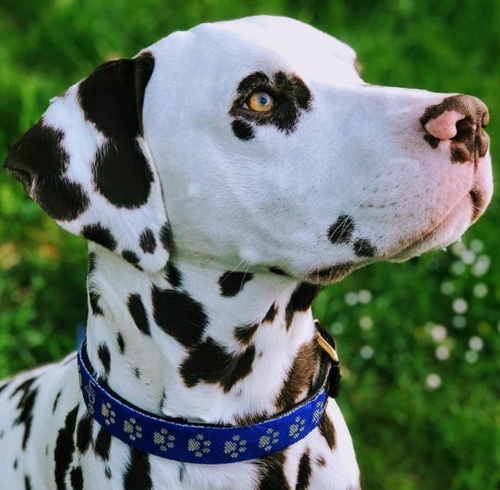 gallery/59931195_10219245454231254_4273311383698800640_n